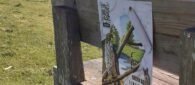 Being an eco-warrior is great – and posters are the best bit