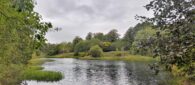 As the Scottish Government cuts nature funding again, it looks like we have to save the environment ourselves